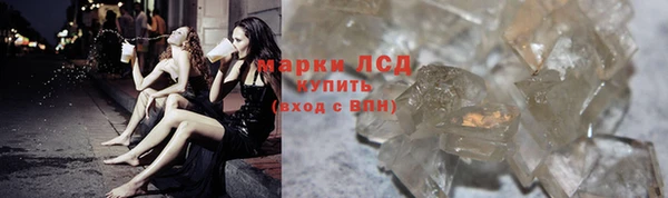 прущие грибы Михайловск