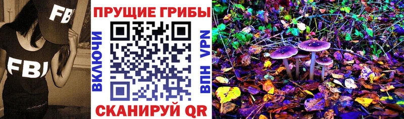MEGA маркетплейс  наркошоп  Можайск  Галлюциногенные грибы Magic Shrooms 
